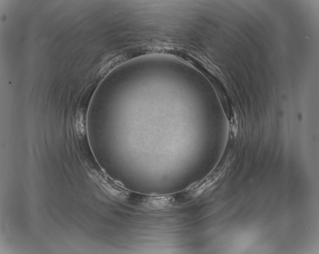 X0000068260479200604211049