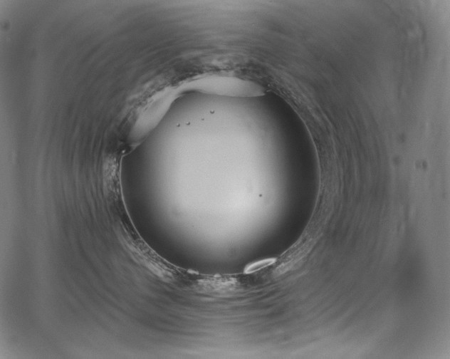 X0000068260480200604211049