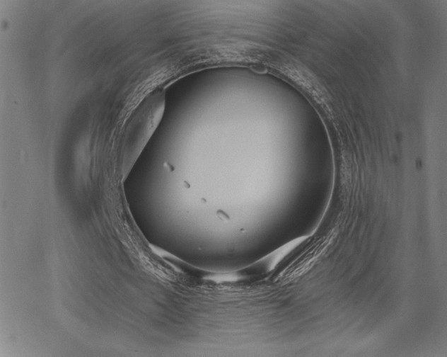 X0000068260481200604211048