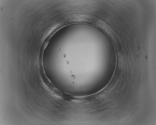 X0000068260482200604211048