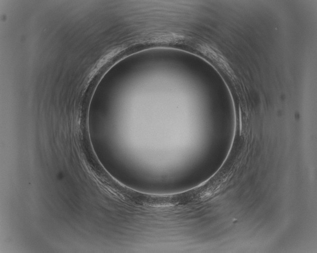 X0000068260483200604211048