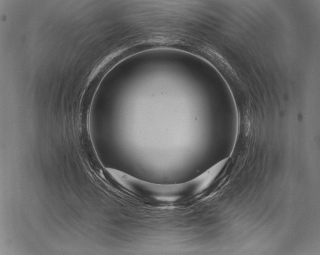 X0000068260484200604211048