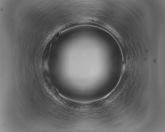 X0000068260485200604211048