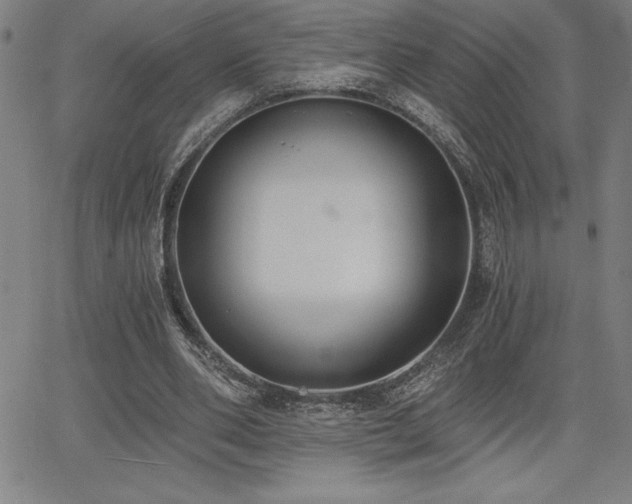 X0000068260486200604211048