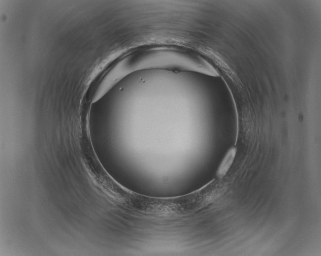 X0000068260488200604211048