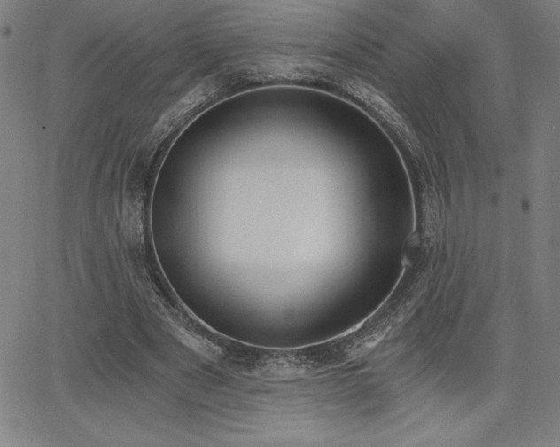 X0000068260489200604211048