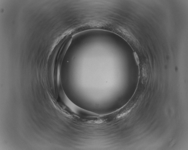 X0000068260492200604211048