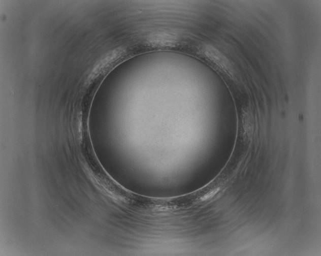 X0000068260494200604211048