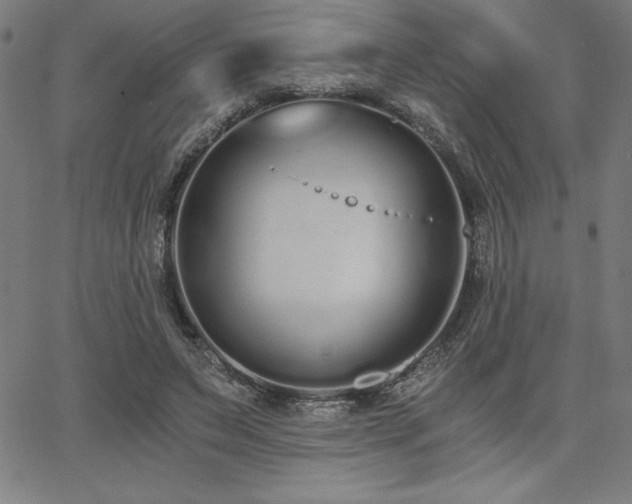 X0000068260495200604211048