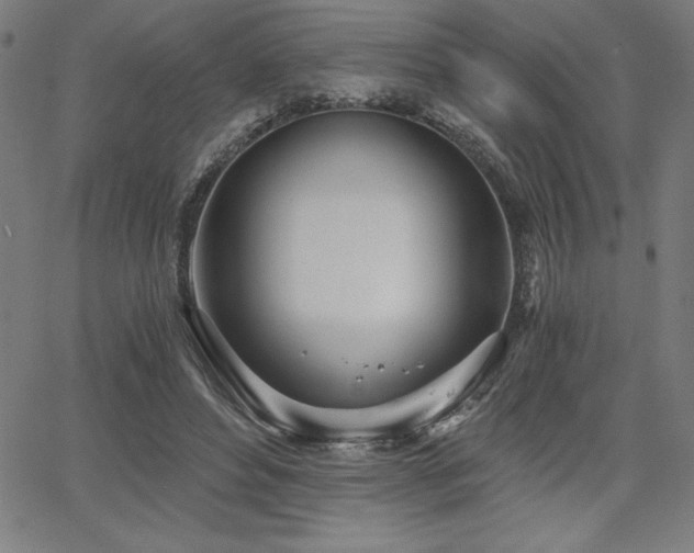 X0000068260496200604211048