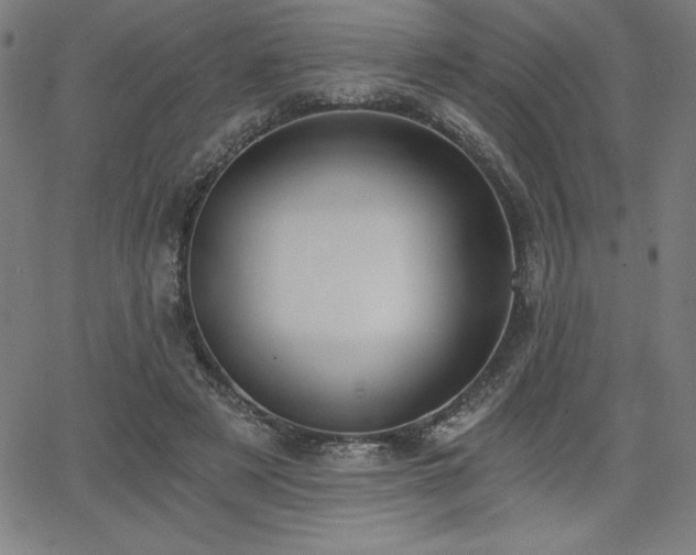 X0000068260497200604211048