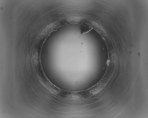 X0000068260498200604211048