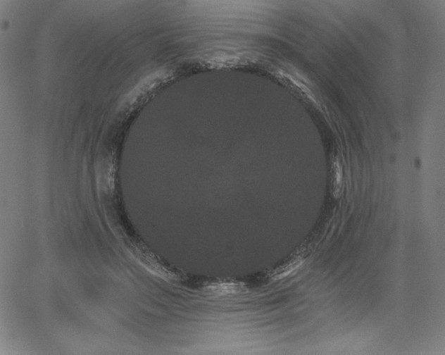 X0000068260499200604211048