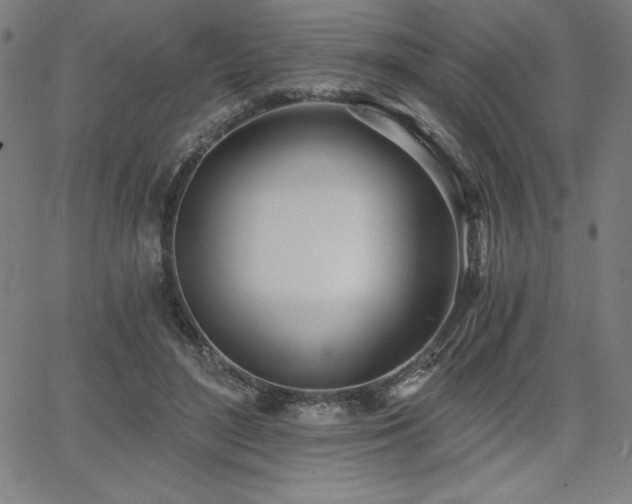 X0000068260500200604211048