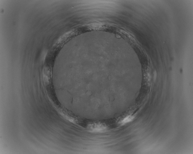 X0000068260503200604211048