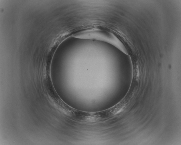 X0000068260504200604211048