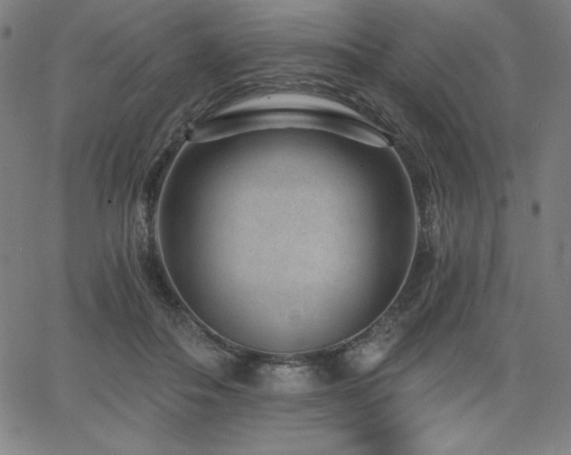 X0000068260506200604211048