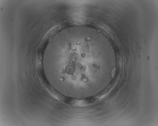 X0000068260507200604211048