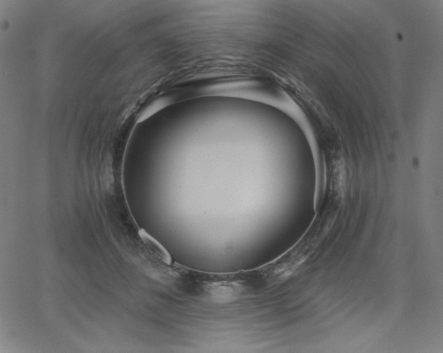 X0000068260508200604211048