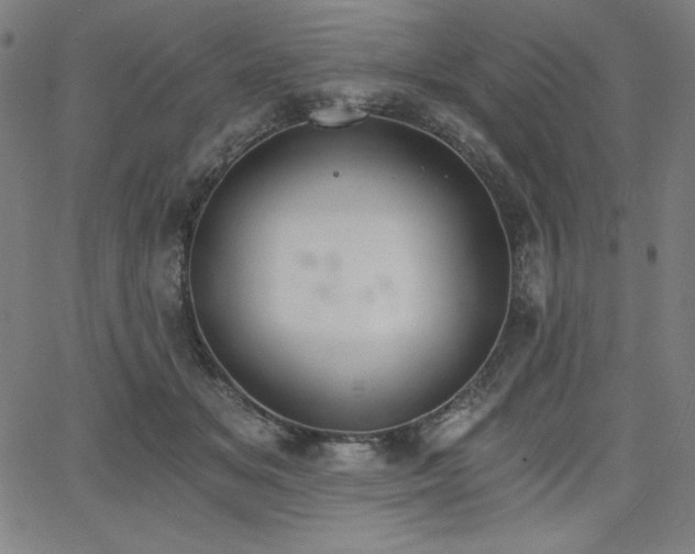 X0000068260509200604211048