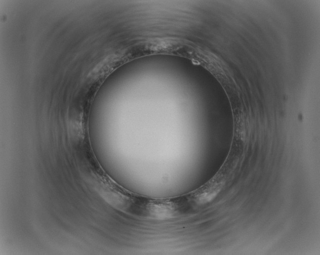 X0000068260510200604211048