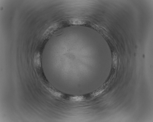 X0000068260511200604211048