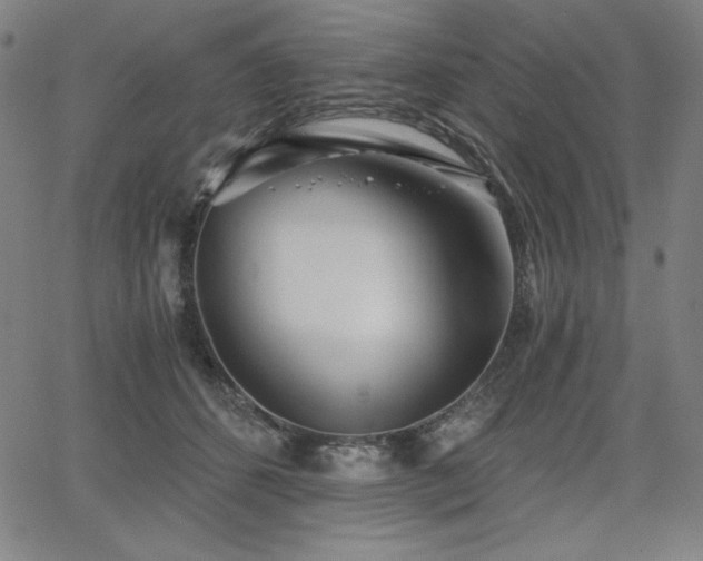 X0000068260512200604211048