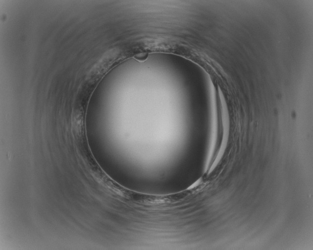 X0000068260513200604211048