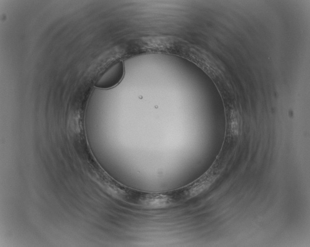 X0000068260514200604211048