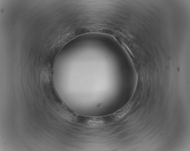 X0000068260515200604211048