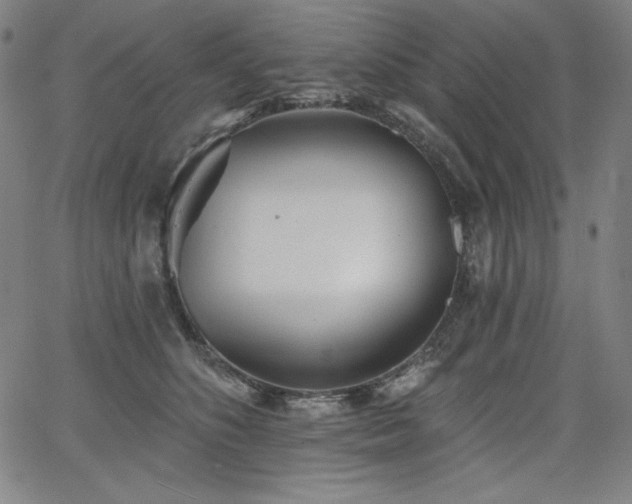 X0000068260516200604211048