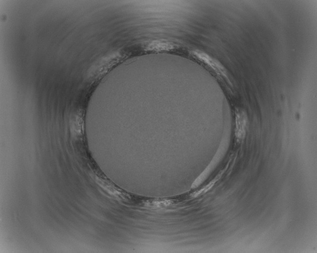 X0000068260517200604211048