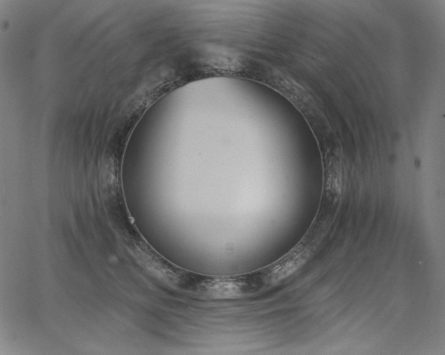 X0000068260518200604211048