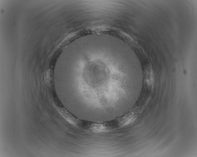 X0000068260519200604211048