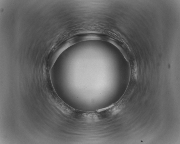 X0000068260520200604211048