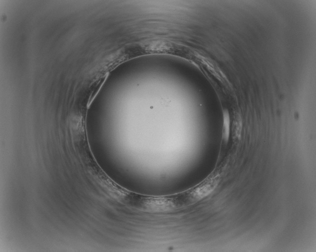 X0000068260521200604211048