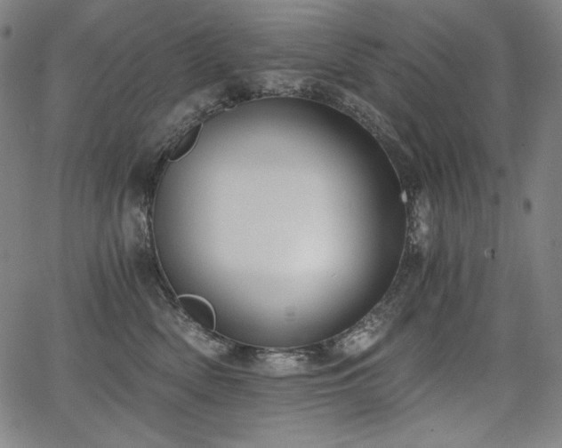 X0000068260522200604211048