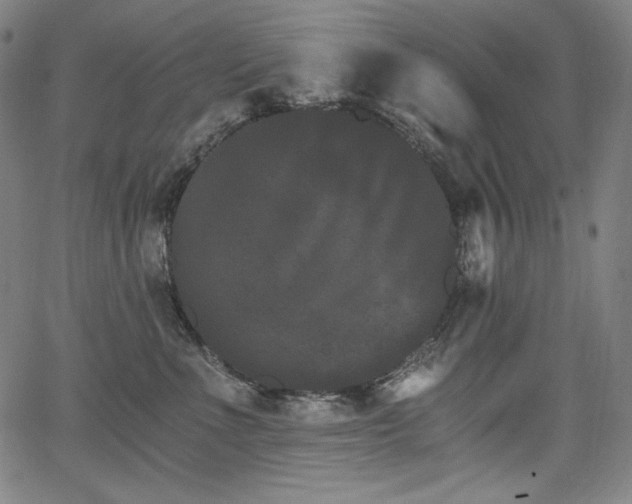 X0000068260523200604211048