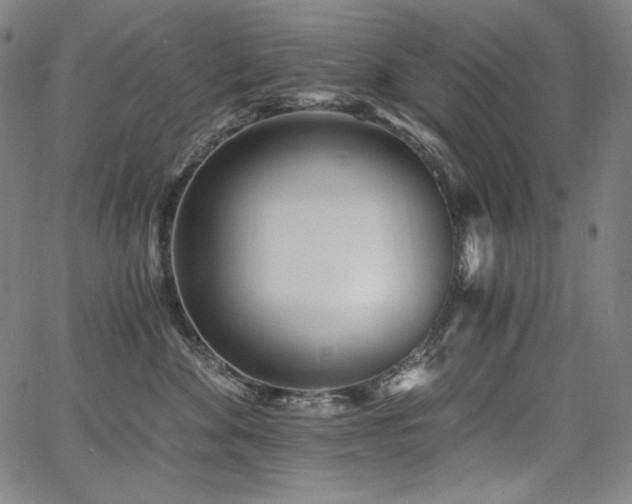 X0000068260524200604211048