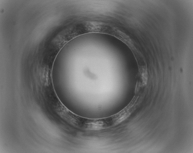 X0000068260525200604211048