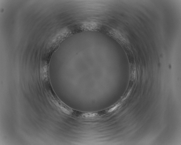 X0000068260526200604211048