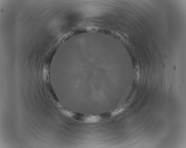 X0000068260527200604211048