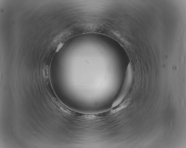 X0000068260528200604211048