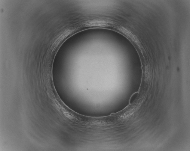 X0000068260529200604211047