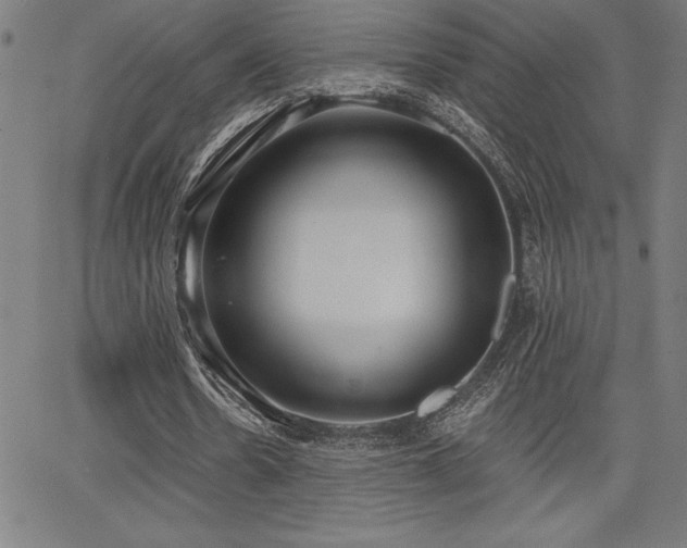 X0000068260530200604211047