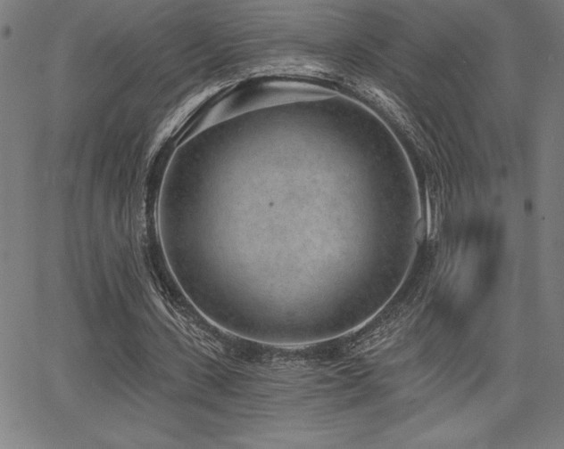 X0000068260531200604211047