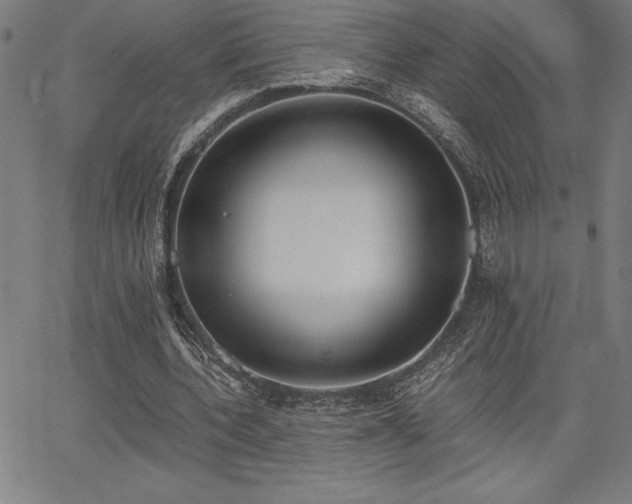 X0000068260532200604211047