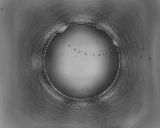 X0000068260533200604211047