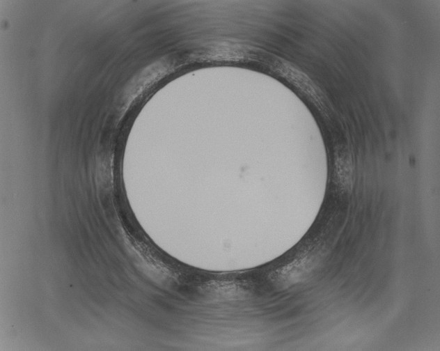 X0000068260534200604211047