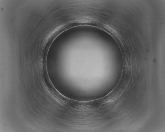 X0000068260535200604211047